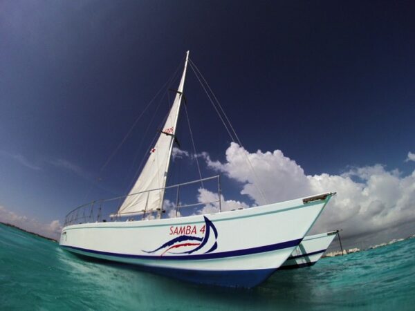 Isla Mujeres Special Adult - Image 6