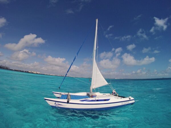 Isla Mujeres Special Adult - Image 8